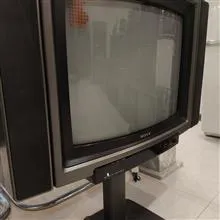 تلویزیون
