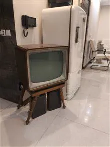 تلویزیون