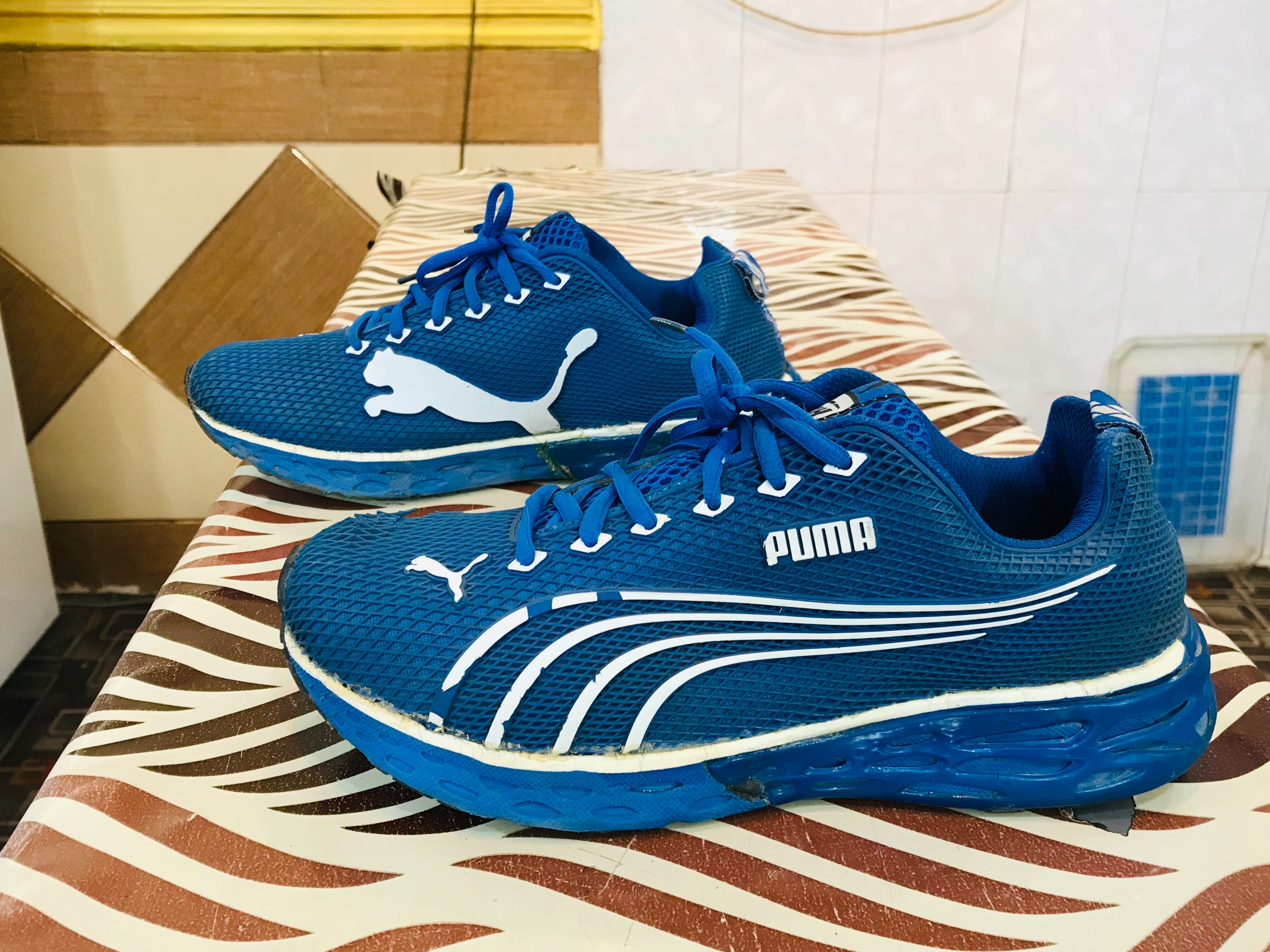 کفش بسیار خاص وتمام اوریجینال PUMA