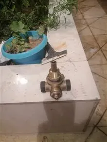 شیر