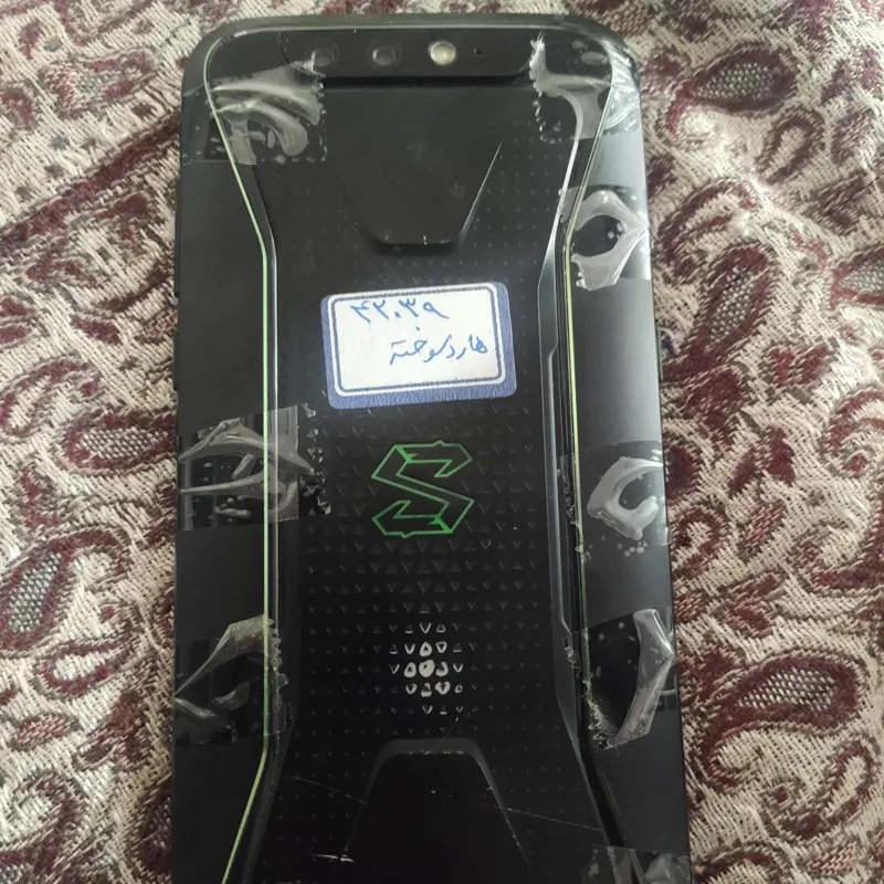 شیامی بلک شارک