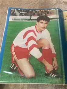 کلاسور