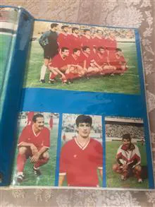 کلاسور