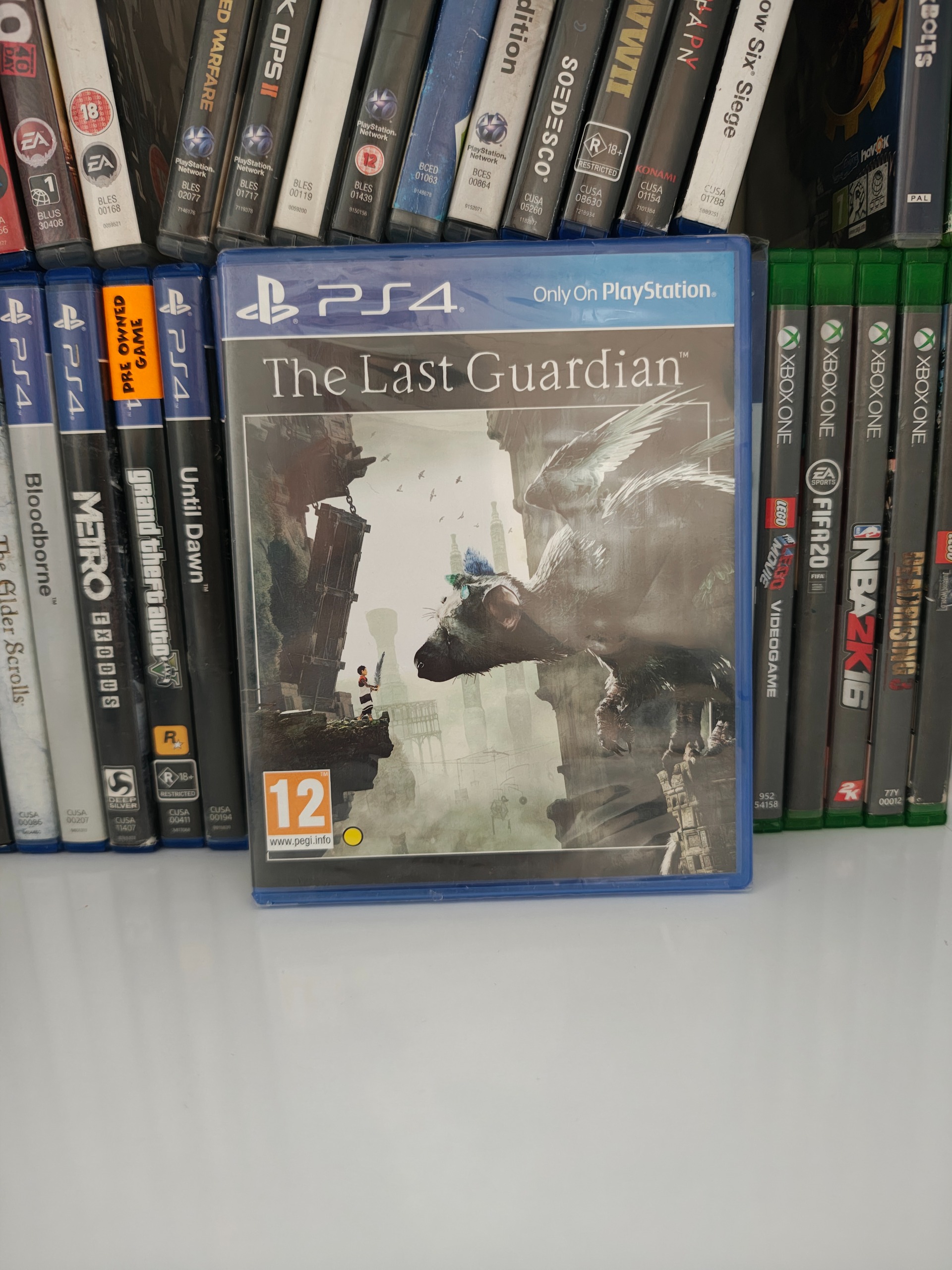 پلمپ the last guardian
