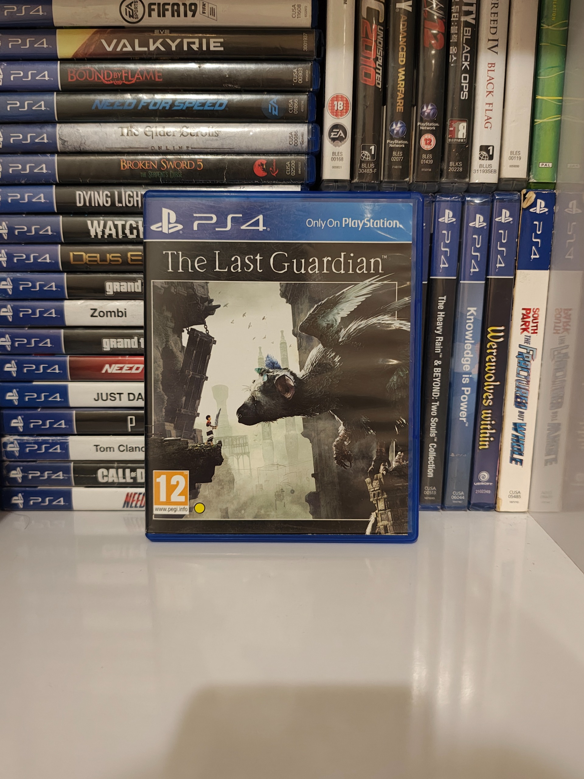 The last guardian در حد نو