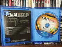 Pes
