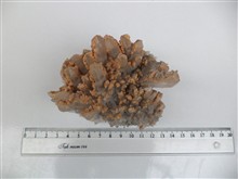 کلاستر