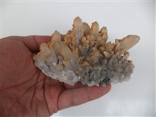 کلاستر