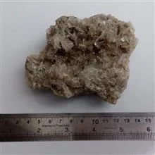 سلستین