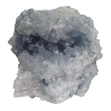 سلستین
