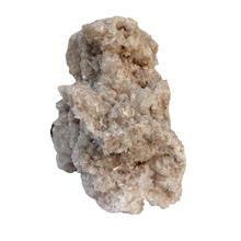 سلستین