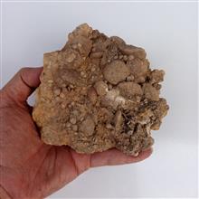 نومولیت