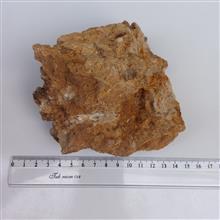 نومولیت