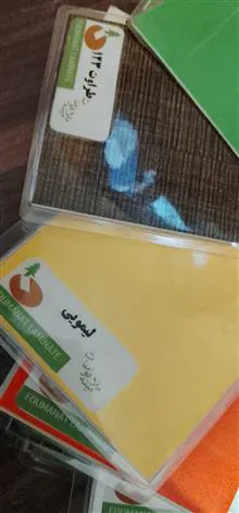 پنل