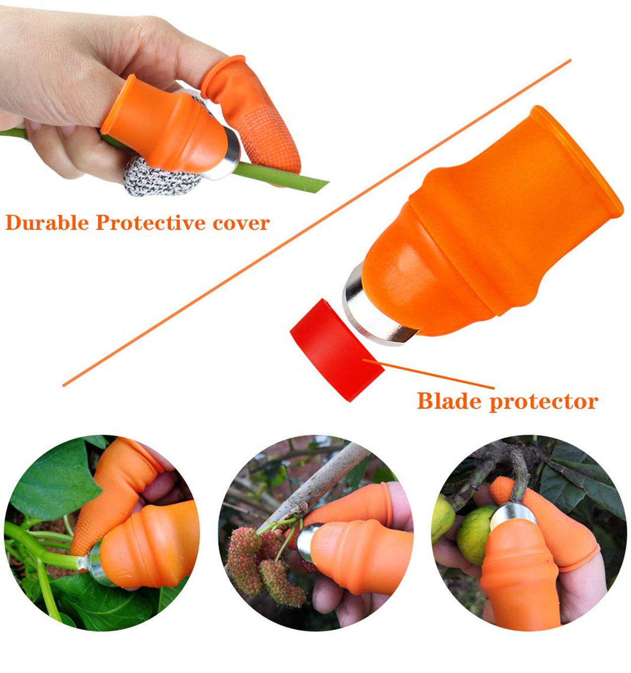 چاقو انگشتی میوه چینی