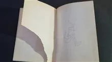جزیره