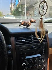 سگ