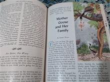 Readers