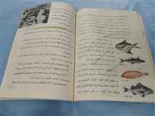 تعلیمات