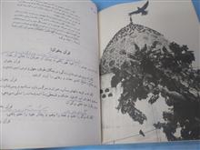 ادبیات
