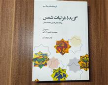 گزیده