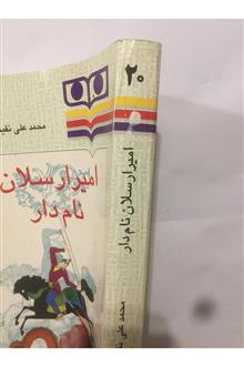 امیر