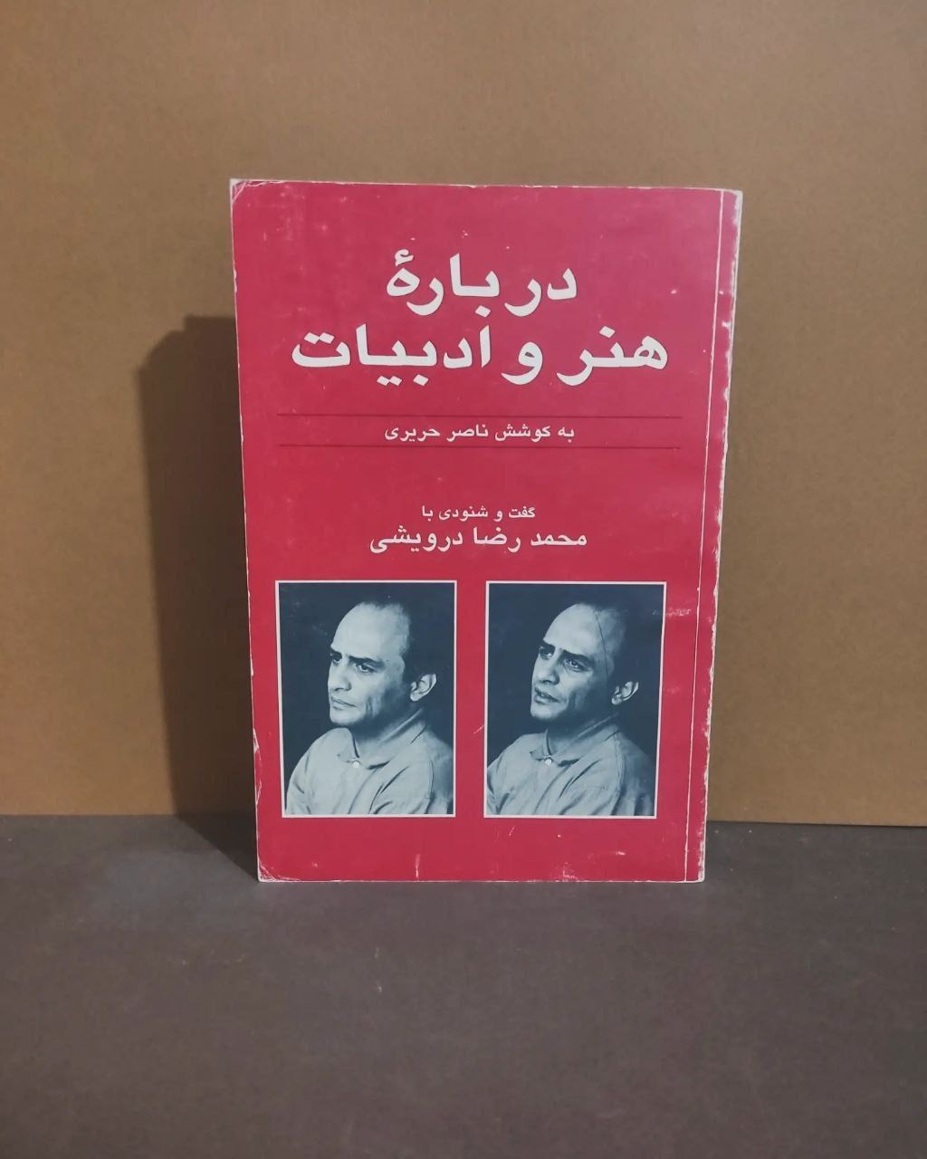 درباره هنر و ادبیات محمد رضا درویشی