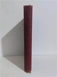 رباعیات