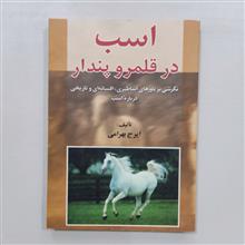 اسب