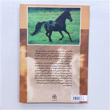 اسب