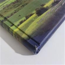 تاریخ،