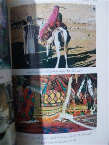 بختیاری