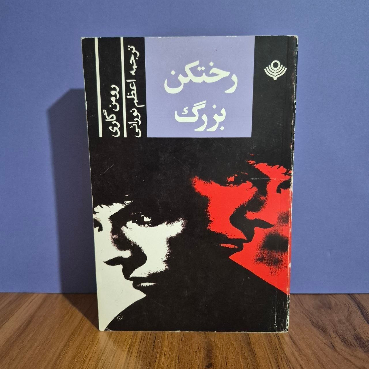 رختکن بزرگ رومن گاری