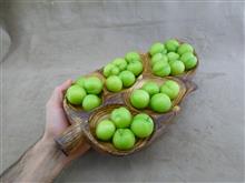 اردوخوری