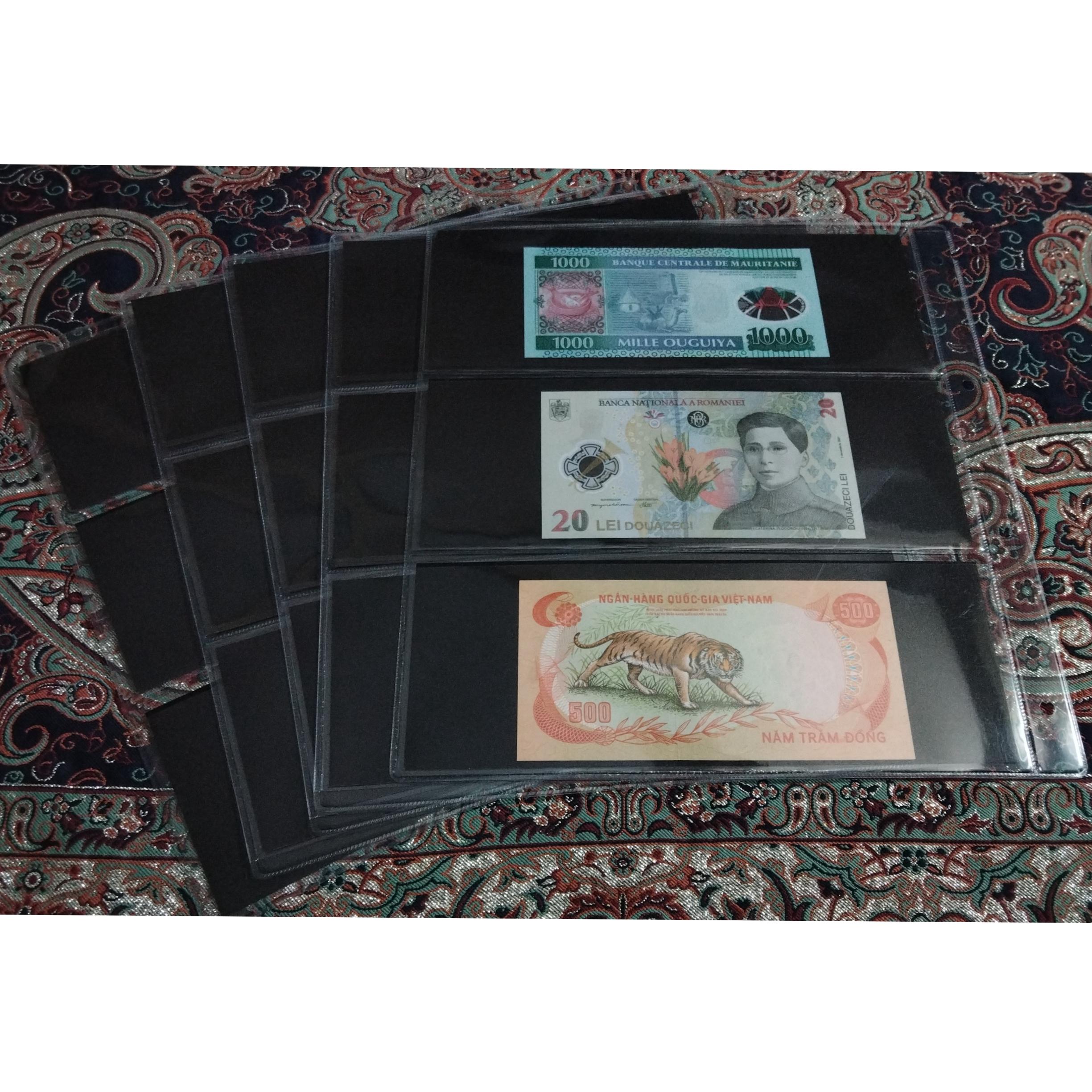 برگ کلاسور اسکناس