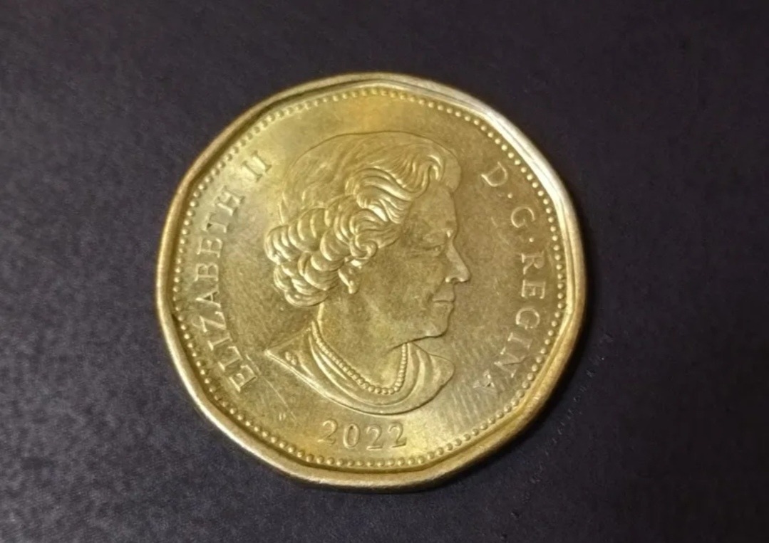 سکه یک دلاری کانادا