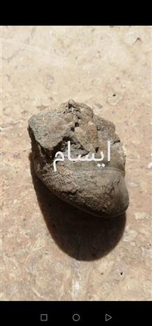 فسیل