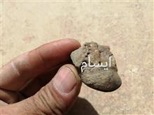 فسیل