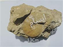 بستر