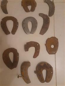 کلکسیون