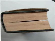 حافظ