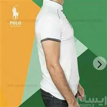تیشرت