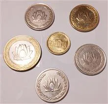ست