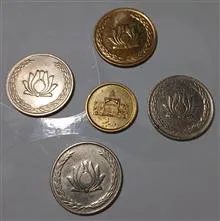 ست