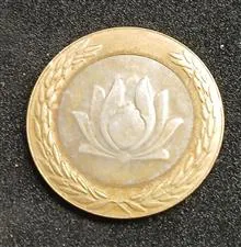 سکه