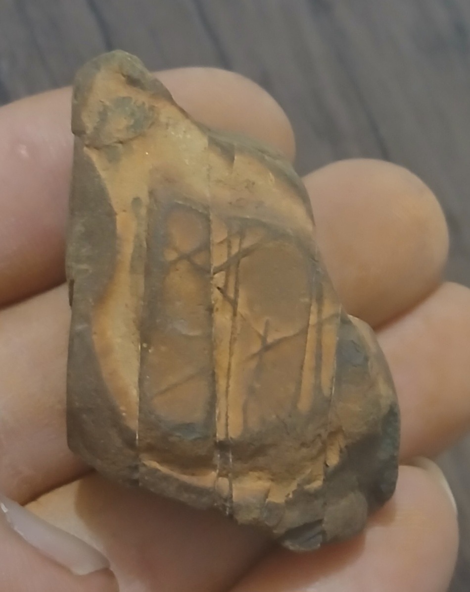 سنگ مشکوک به شهاب سنگ