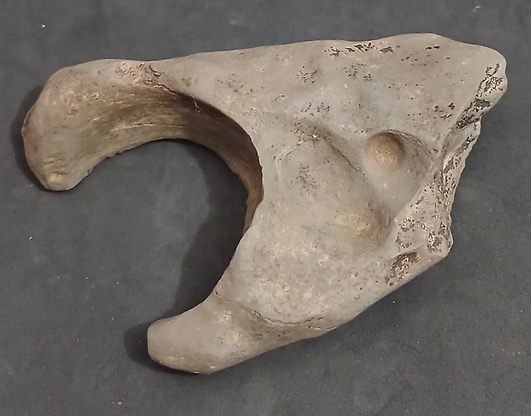 سنگی کلکسیونی بشکل نعل