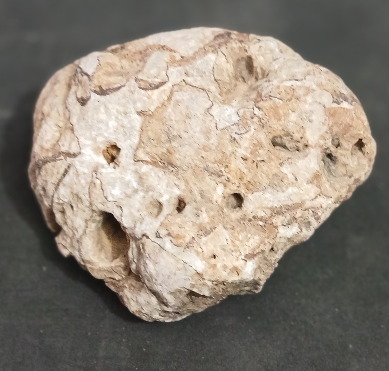 سنگ مشکوک به شهاب سنگ