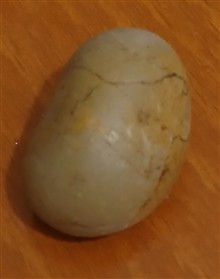 سنگ