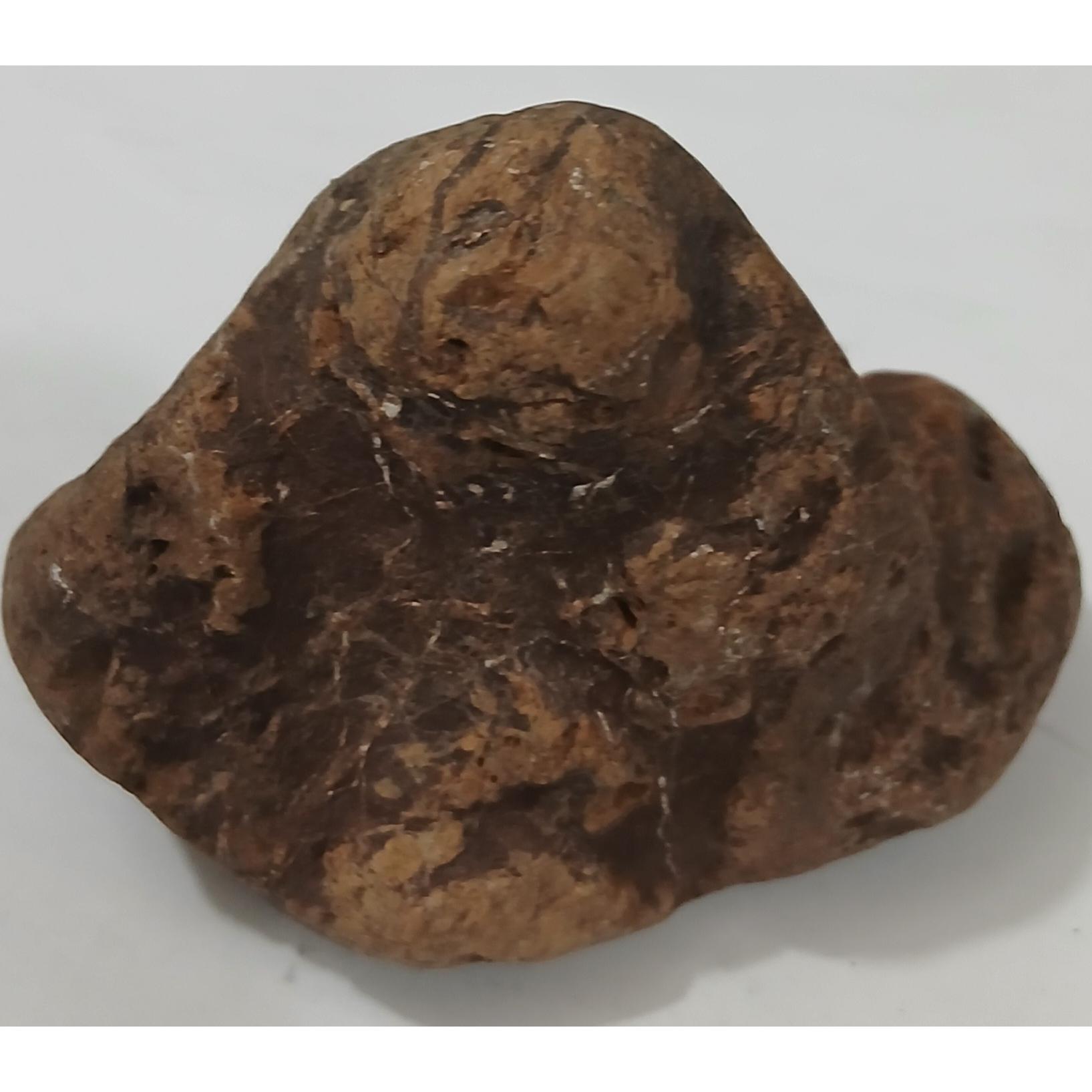 سنگ مشکوک به شهاب سنگ